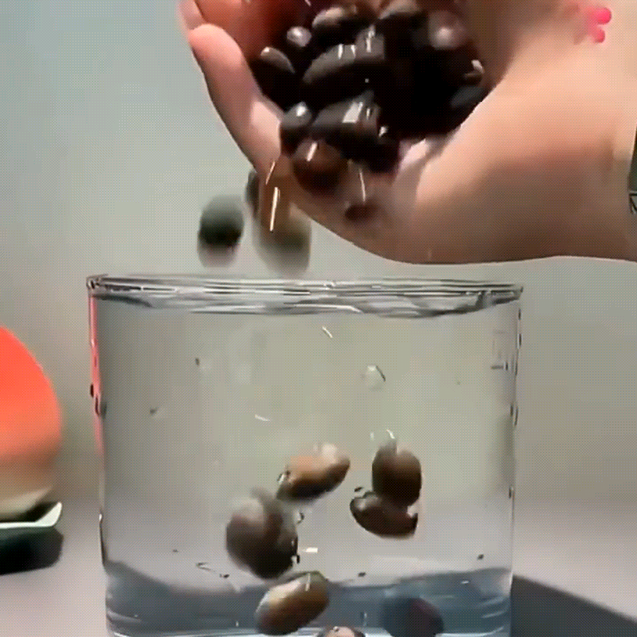 Bonsai Lotus Flower Seeds for Mystic Lotus Garden